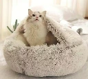 camita.webp
