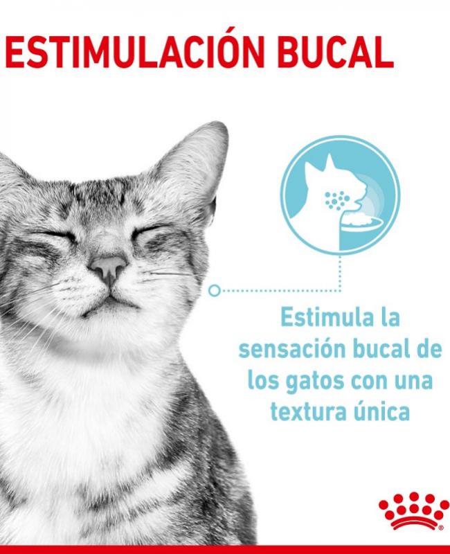 ROYAL CANIN POUCH CAT Sensory Feel