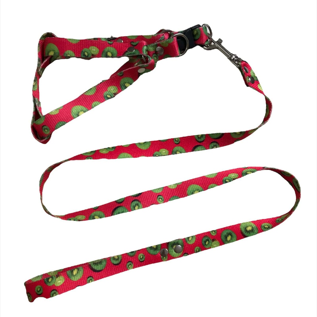 CONJUNTO PRETAL CORREA POLIESTER 20 MM