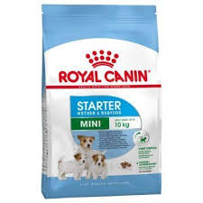 ROYAL CANIN DOG STARTER MINI 1KG