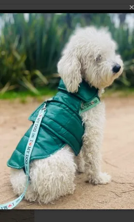 CHALECO BUZO CANINE COUTURE METALIZADO MATELASSE CINTURA VELCRO 28