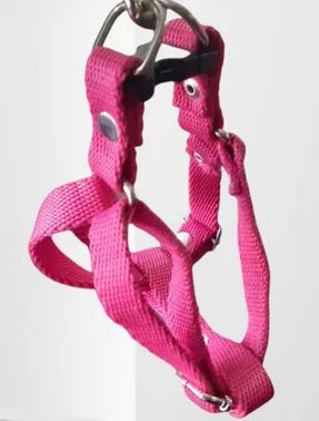 [ARNESBNS2] ARNES NYLON REGULABLE (Rosa, S)