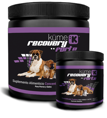 KUME RECOVERY 250GR