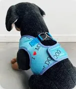 ARNES / PECHERA I Love my dog CC (XS, CCVerde)