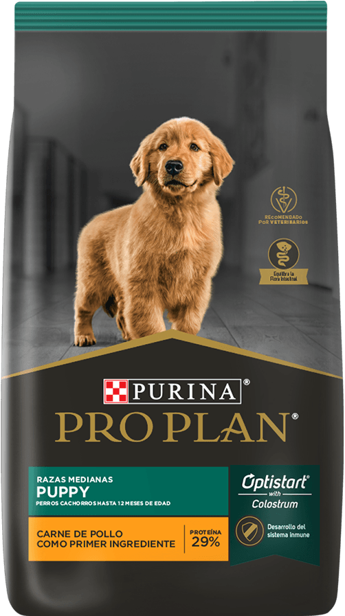 PRO PLAN DOG PUPPY MEDIUM 15KG