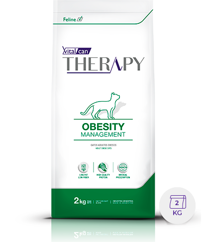 VITAL CAN THERAPY  CAT OBESITY MANAGEMENT 2 KG