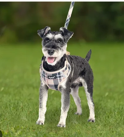 CONJUNTO ARNES Y CORREA PERRO/GATO RAYITO FASHION