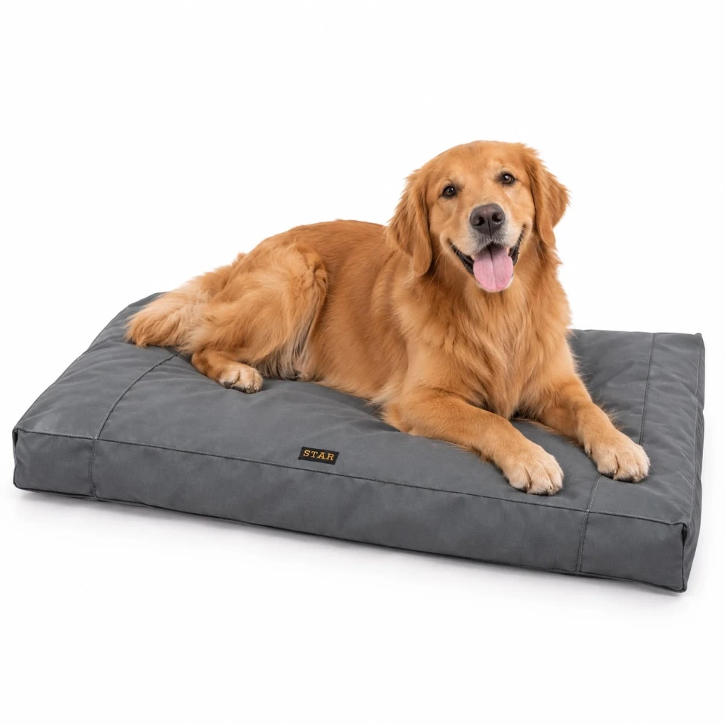 CAMA COLCHONETA STAR ANTIDESGARRO 100x65X4 cm