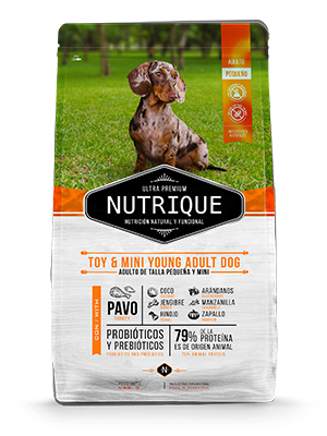 NUTRIQUE DOG ADULT SMALL 3KG