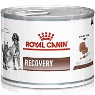 ROYAL CANIN DOG ALIMENTO HUMEDO RECOVERY 195GR PROMO (6X5)