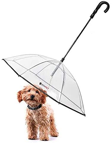 Paraguas para perro
