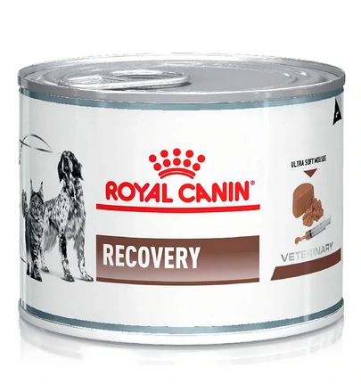 [3402234] ROYAL CANIN DOG ALIMENTO HUMEDO RECOVERY 195GR PROMO 6x5