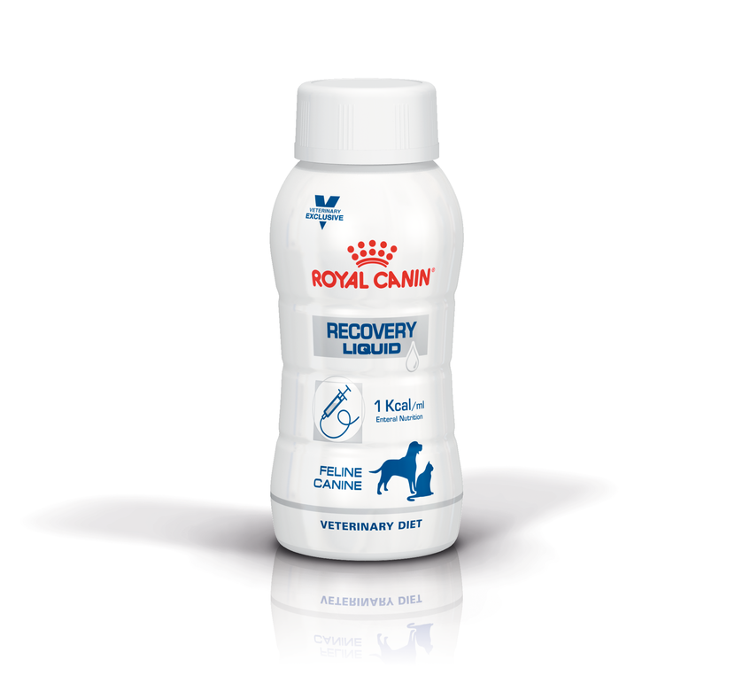 ROYAL CANIN CAT LIQUID RECOVERY CAT/DOG 200ML