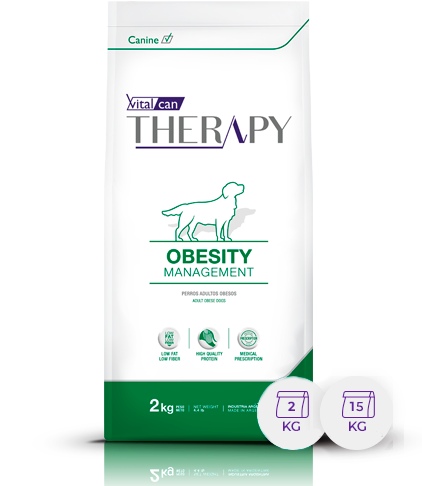 VITAL CAN THERAPY  DOG OBESITY MANAGEMENT 15KG