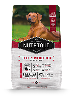 NUTRIQUE DOG ADULTO LARGE 15KG