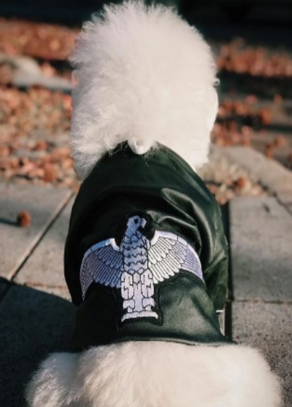 CAMPERA DE CUERO AGUILA HW