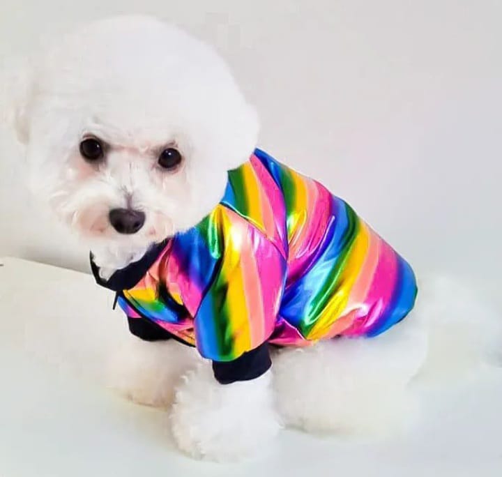 CAMPERA BUZO RAINBOW HW