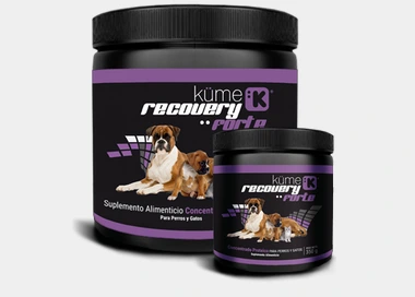 KUME RECOVERY 150GR ya no viene