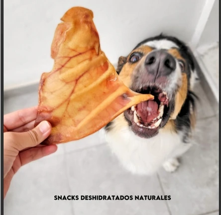 [BDOREJA] BOCADOG OREJA DE CUERO NATURALES MARRONES