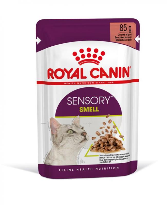 ROYAL CANIN POUCH CAT SENSORY SMELL PROMO 6X5