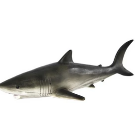 CANCAT CHIFLE TIBURON