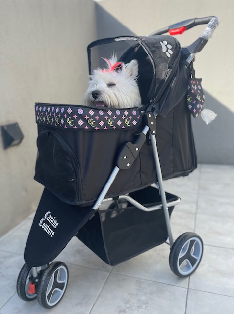 CARRITO CANINE COUTURE