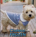 CHALECO BUZO CANINE COUTURE FROZEN