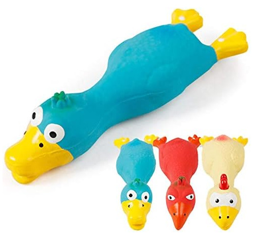 CHIFLE GALLINA LATEX