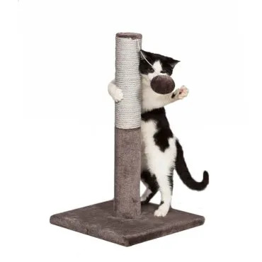 RASCADOR PARA GATO BASE Y TUBO 50x30CM