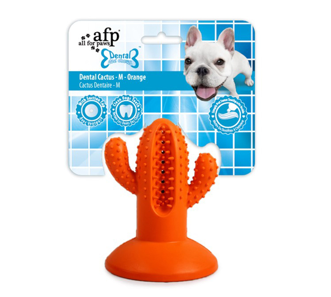AFP CACTUS DENTAL MACIZO