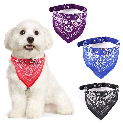 COLLAR BANDANA MEDIANA 40CM