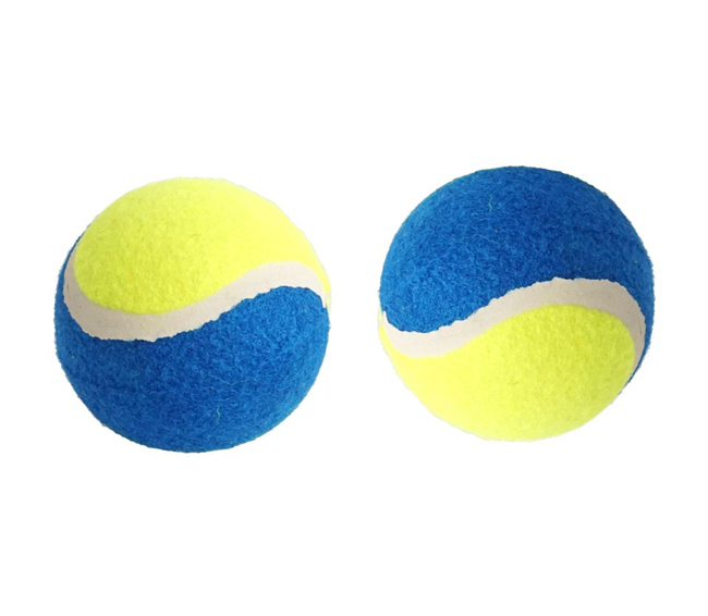 PACK X2 PELOTA TENIS CON CHIFLE