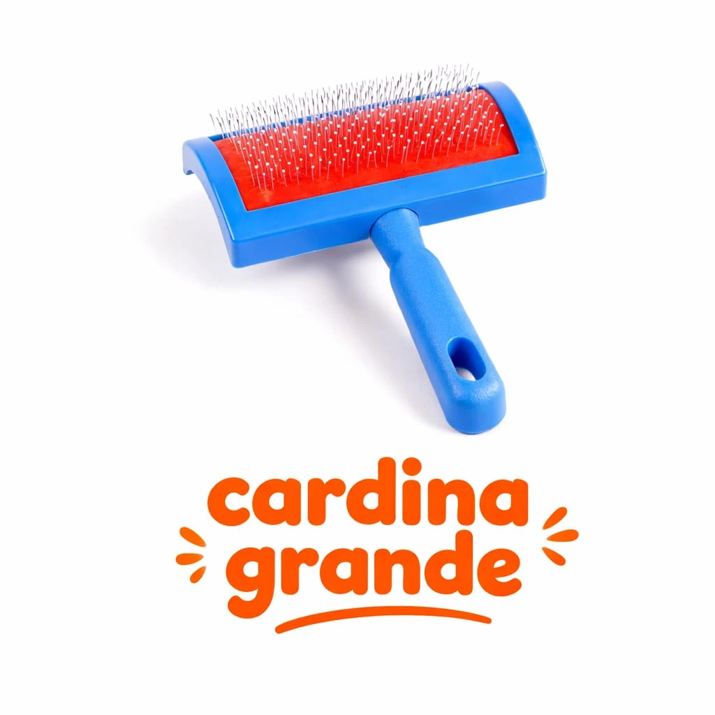 CARDINA DE PLASTICO GRANDE