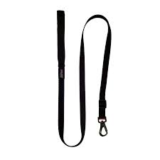 COLLAR VITALFUN M PETS ROCK