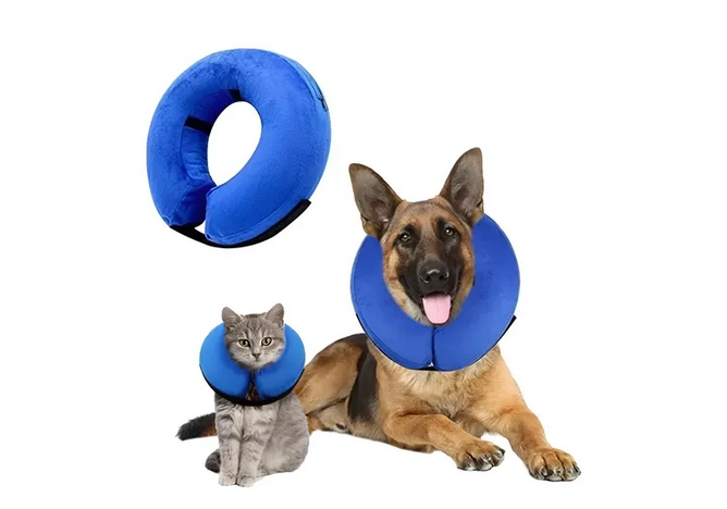 COLLAR ISABELINO INFLABLE