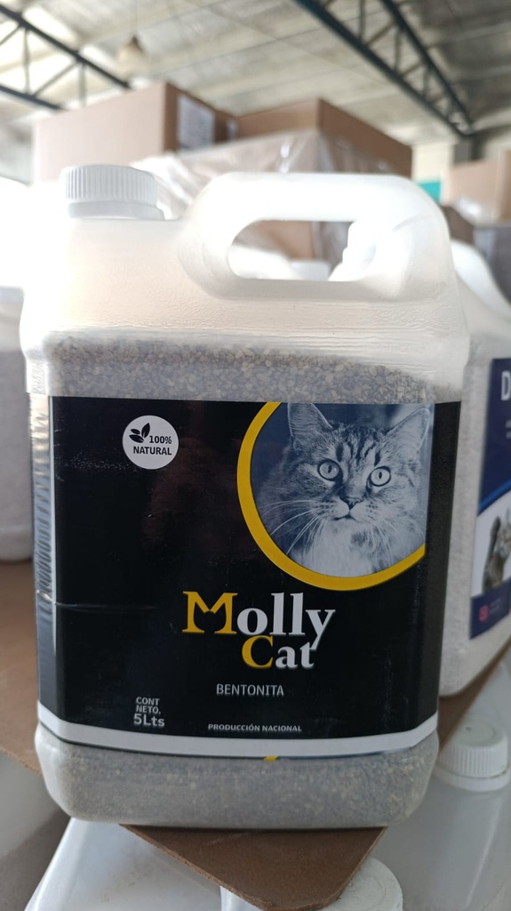 Molly cat piedritas aglutinantes BIDON 5 KG