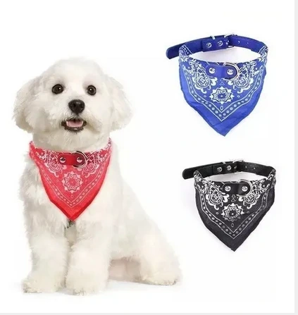 COLLAR CON BANDANA SIMIL CUERO CHICO 39CM