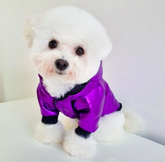 BUZO/CAMPERA INVIERNO SOFT amarillo 19