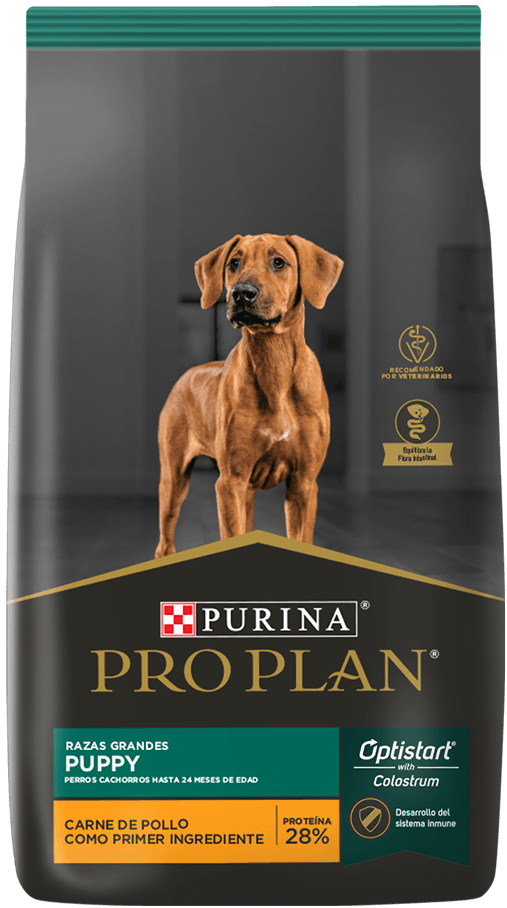 PRO PLAN DOG PUPPY LARGE 15KG