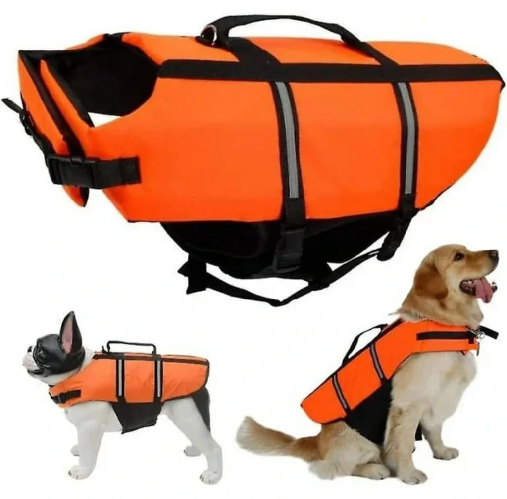 SALVAVIDAS CANINE COUTURE TALLE M