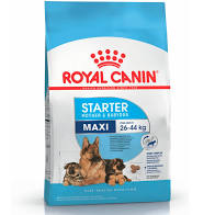 [RC] ROYAL CANIN DOG STARTER MAXI 10KG