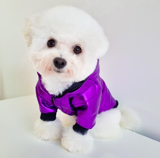 BUZO/CAMPERA INVIERNO SOFT cc TODOS amarillo 19