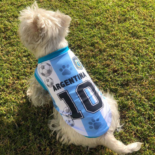 CAMISETA ARGENTINA Y CLUBES FUTBOL CANINE COUTURE