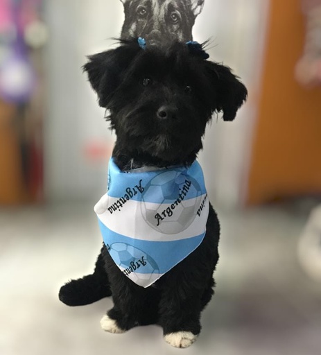 BANDANA CANINE COUTURE