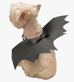 DISFRAZ HALLOWEEN ALAS BATMAN CANINE COUTURE