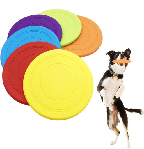 FRISBEE GOMA