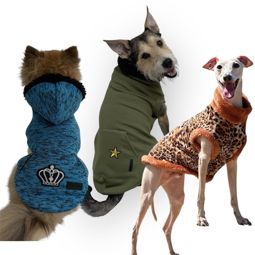 BUZO RYR IMC HW TODOS NARANJAS 28