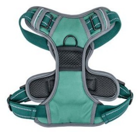 [RN449] CANCAT ARNES VERDE L