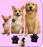 huellitas protectoras autoadhesivas